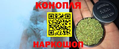 тгк Шебекино