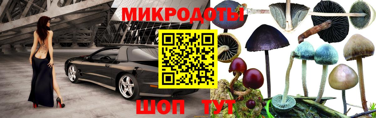 Галлюциногенные грибы GOLDEN TEACHER Дубна